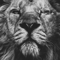 20 Tajných pravidiel bohatých